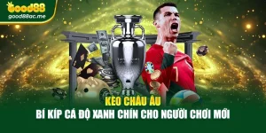 Kèo Châu Âu – Bí Kíp Cá Độ Xanh Chín Cho Người Chơi Mới