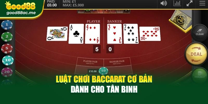 Luật chơi baccarat cơ bản dành cho tân binh