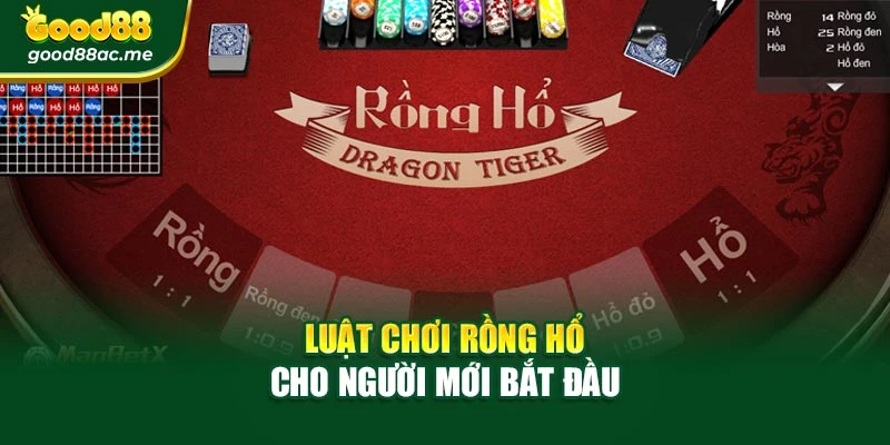 Luật chơi Rồng Hổ cho người mới bắt đầu
