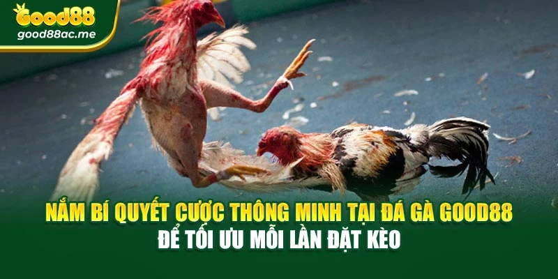 Nắm bí quyết cược thông minh tại Đá gà Good88 để tối ưu mỗi lần đặt kèo