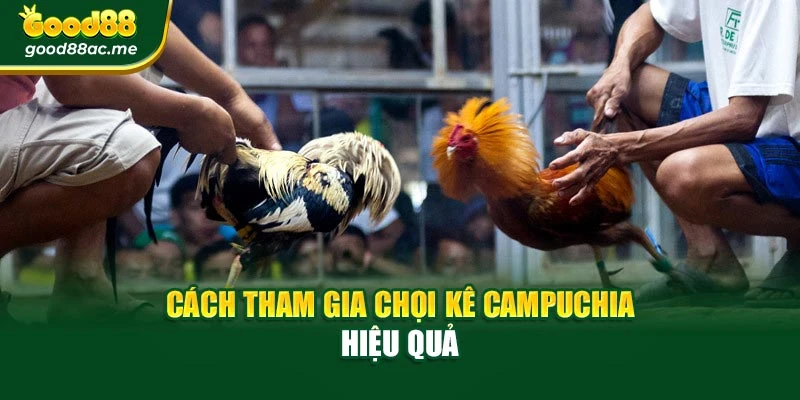 Cách tham gia chọi kê Campuchia hiệu quả