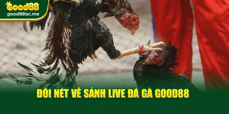 Đôi nét về sảnh Live đá gà Good88