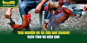 Trải Nghiệm Đá Gà Cựa Dao Good88 Kịch Tính Và Hiệu Quả
